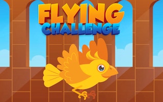 Image Flying Challenge