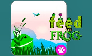 Image Hunt - Feed the Frog